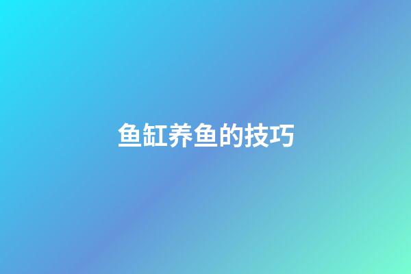 鱼缸养鱼的技巧