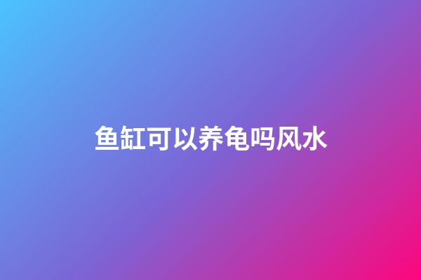 鱼缸可以养龟吗风水