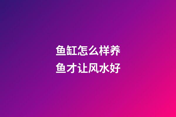 鱼缸怎么样养鱼才让风水好
