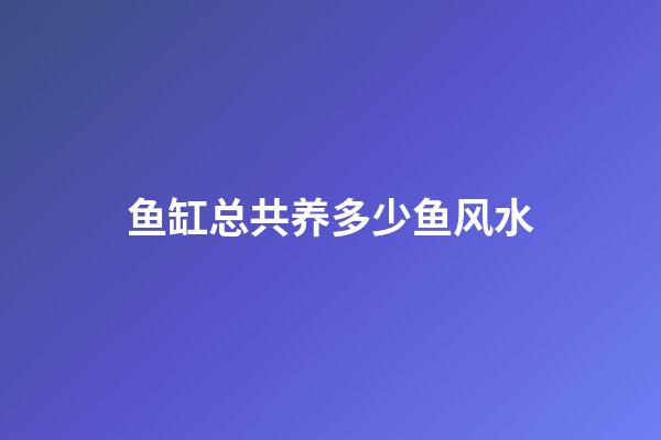 鱼缸总共养多少鱼风水