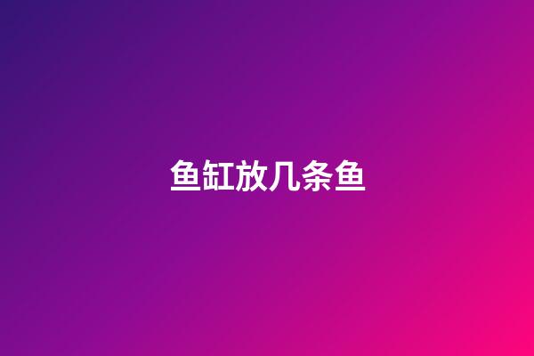 鱼缸放几条鱼