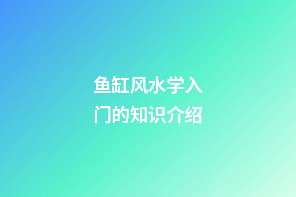 鱼缸风水学入门的知识介绍