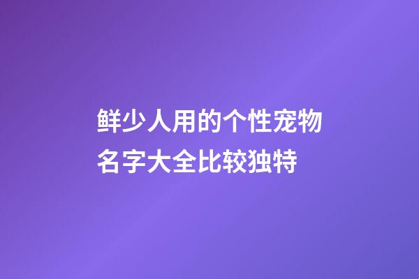 鲜少人用的个性宠物名字大全比较独特