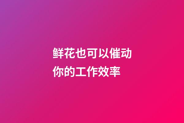 鲜花也可以催动你的工作效率