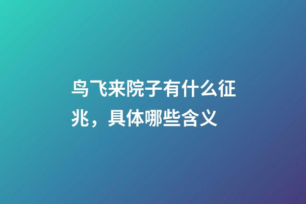 鸟飞来院子有什么征兆，具体哪些含义