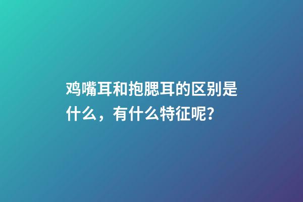 鸡嘴耳和抱腮耳的区别是什么，有什么特征呢？