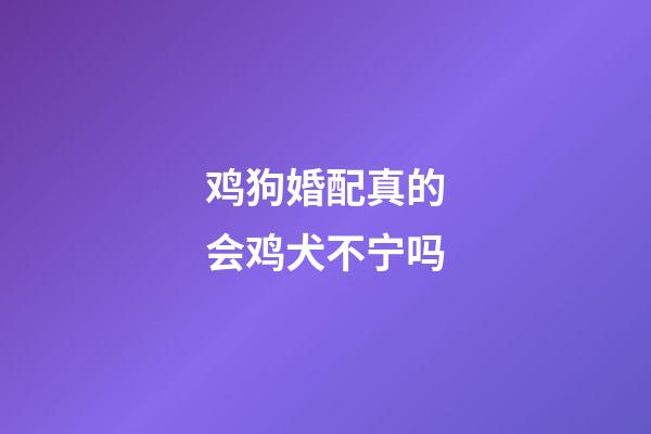 鸡狗婚配真的会鸡犬不宁吗
