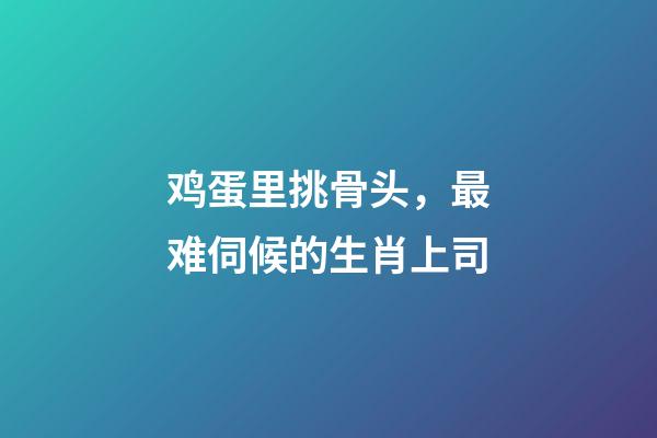 鸡蛋里挑骨头，最难伺候的生肖上司