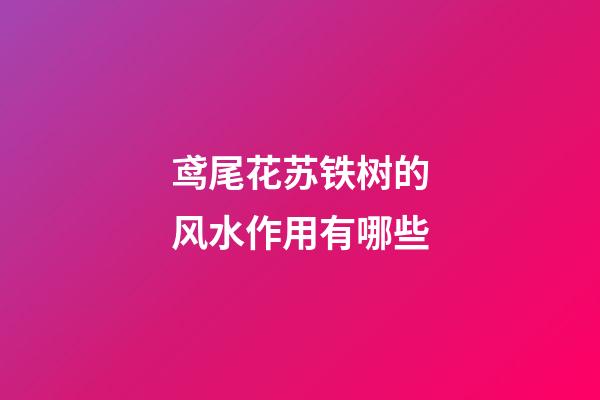 鸢尾花苏铁树的风水作用有哪些?