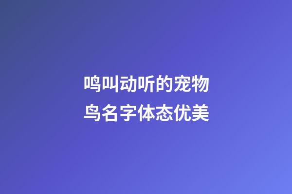 鸣叫动听的宠物鸟名字体态优美