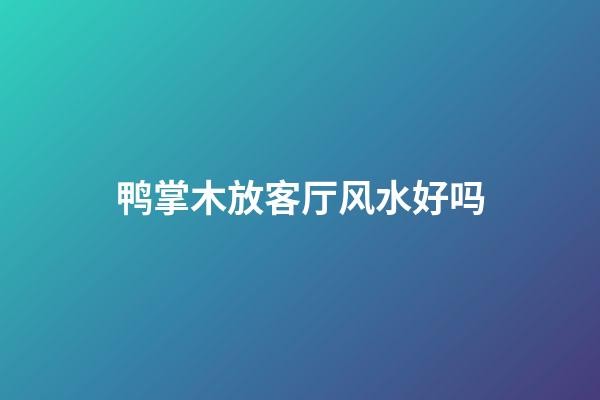 鸭掌木放客厅风水好吗