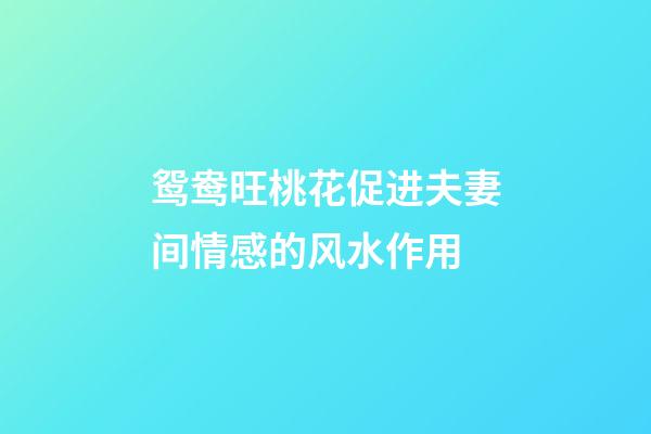 鸳鸯旺桃花促进夫妻间情感的风水作用