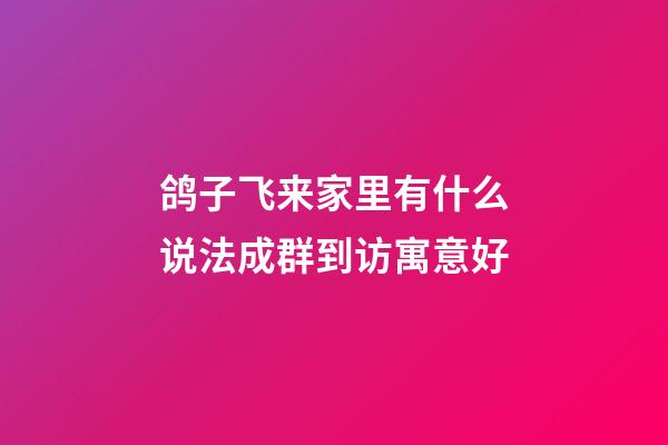 鸽子飞来家里有什么说法?成群到访寓意好