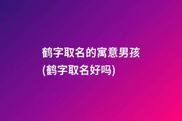 鹤字取名的寓意男孩(鹤字取名好吗)