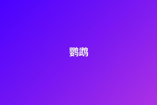 鹦鹉