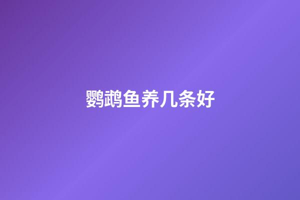 鹦鹉鱼养几条好