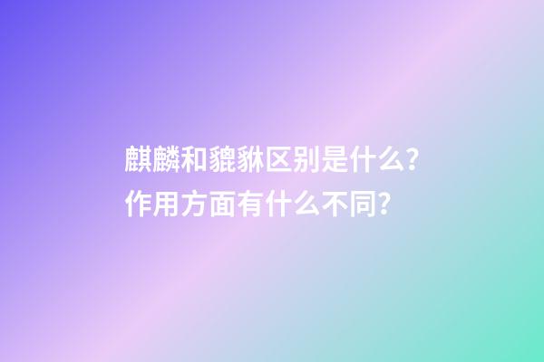 麒麟和貔貅区别是什么？作用方面有什么不同？
