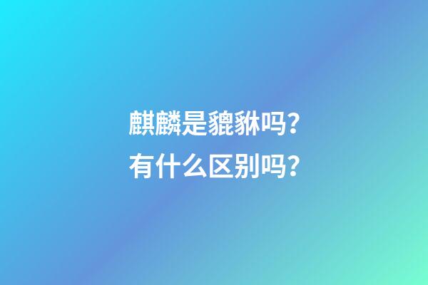 麒麟是貔貅吗？有什么区别吗？