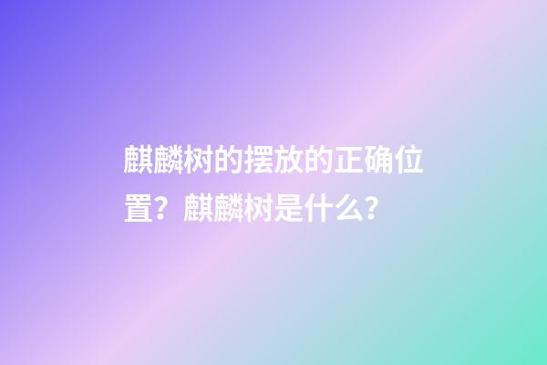 麒麟树的摆放的正确位置？麒麟树是什么？