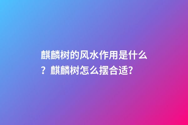 麒麟树的风水作用是什么？麒麟树怎么摆合适？