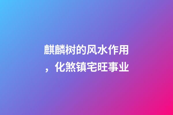 麒麟树的风水作用，化煞镇宅旺事业