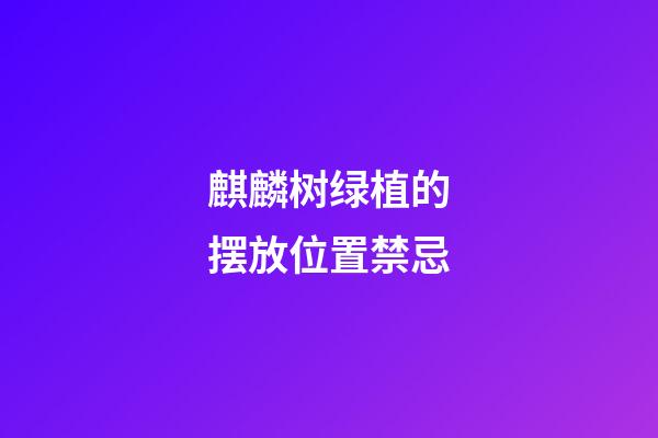 麒麟树绿植的摆放位置禁忌
