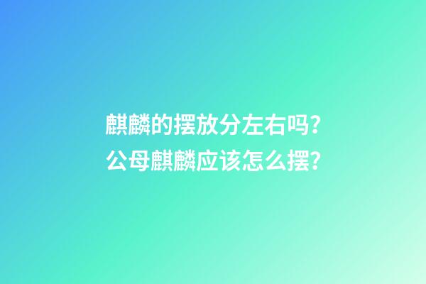 麒麟的摆放分左右吗？公母麒麟应该怎么摆？