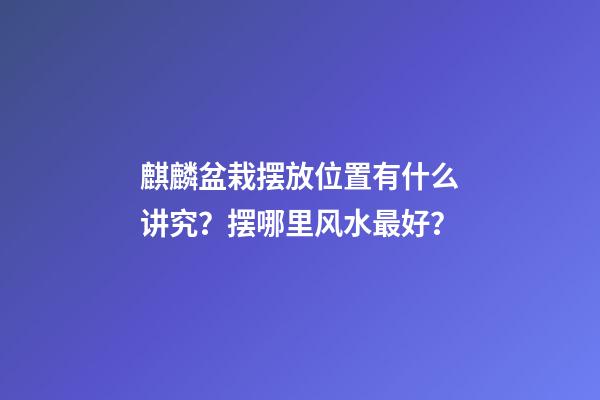 麒麟盆栽摆放位置有什么讲究？摆哪里风水最好？