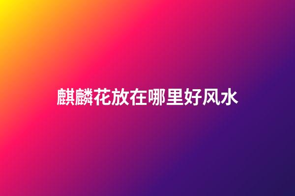 麒麟花放在哪里好风水