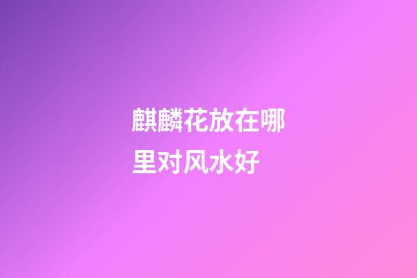 麒麟花放在哪里对风水好