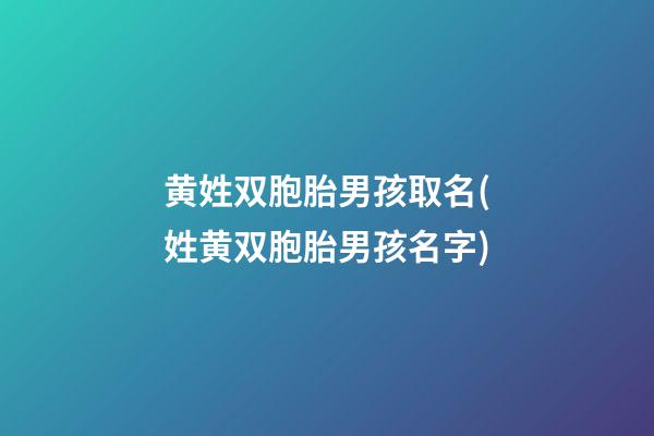黄姓双胞胎男孩取名(姓黄双胞胎男孩名字)
