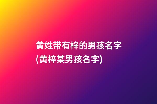 黄姓带有梓的男孩名字(黄梓某男孩名字)