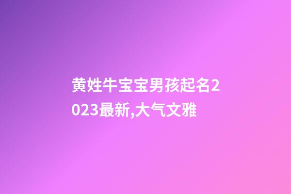黄姓牛宝宝男孩起名2023最新,大气文雅