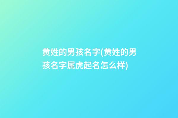 黄姓的男孩名字(黄姓的男孩名字属虎起名怎么样)
