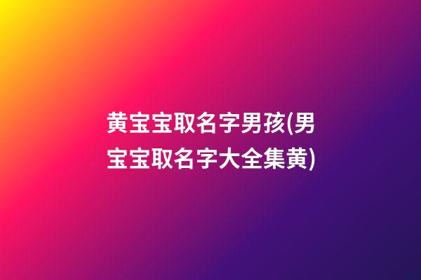 黄宝宝取名字男孩(男宝宝取名字大全集黄)