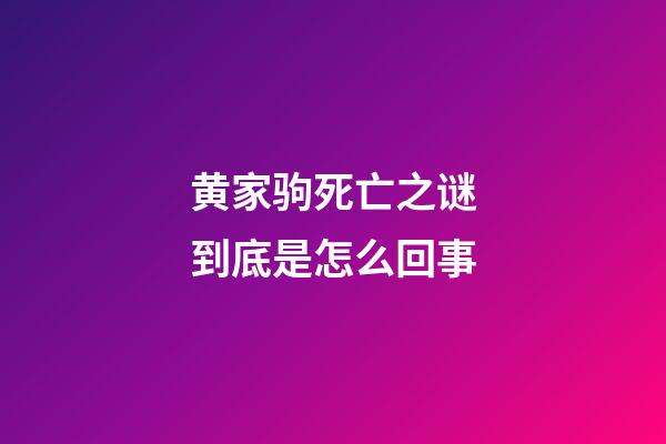 黄家驹死亡之谜到底是怎么回事