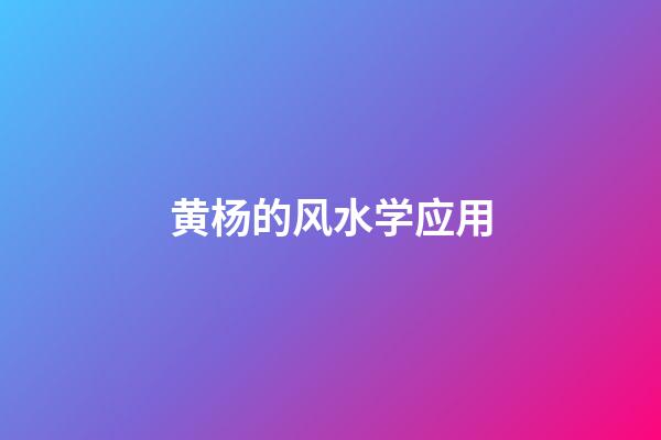 黄杨的风水学应用