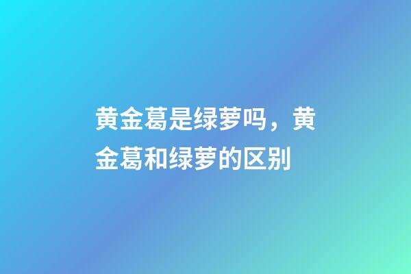 黄金葛是绿萝吗，黄金葛和绿萝的区别