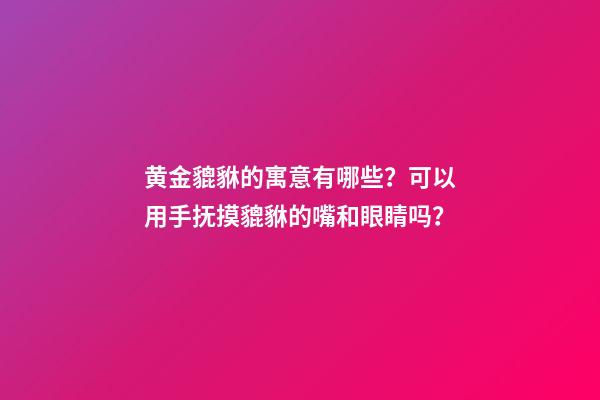 黄金貔貅的寓意有哪些？可以用手抚摸貔貅的嘴和眼睛吗？