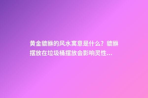 黄金貔貅的风水寓意是什么？貔貅摆放在垃圾桶摆放会影响灵性？