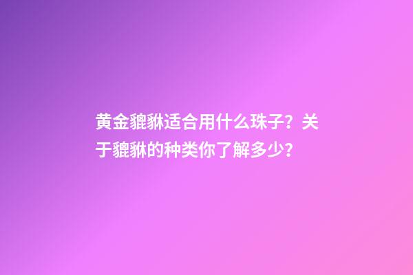 黄金貔貅适合用什么珠子？关于貔貅的种类你了解多少？