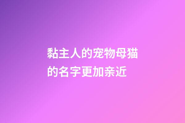 黏主人的宠物母猫的名字更加亲近