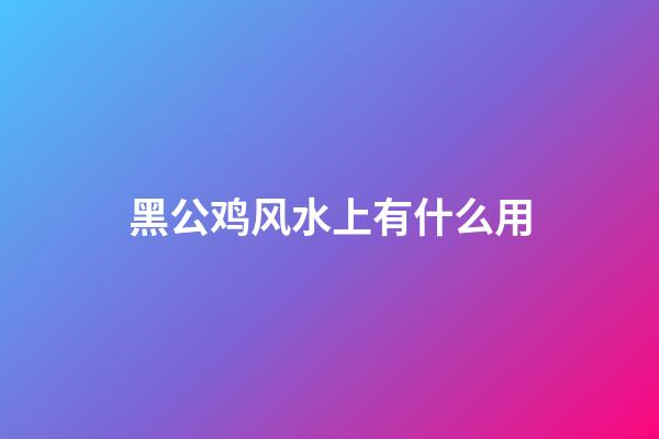 黑公鸡风水上有什么用