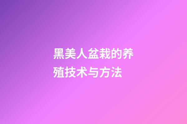 黑美人盆栽的养殖技术与方法