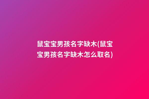 鼠宝宝男孩名字缺木(鼠宝宝男孩名字缺木怎么取名)