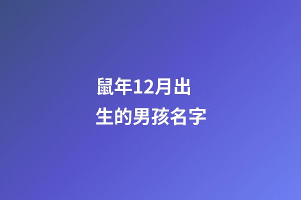 鼠年12月出生的男孩名字