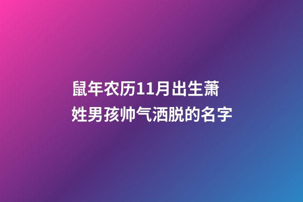 鼠年农历11月出生萧姓男孩帅气洒脱的名字