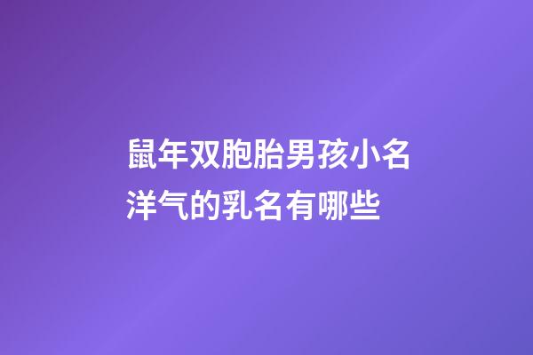 鼠年双胞胎男孩小名洋气的乳名有哪些