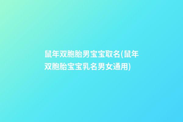 鼠年双胞胎男宝宝取名(鼠年双胞胎宝宝乳名男女通用)