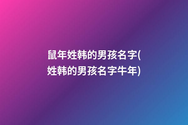 鼠年姓韩的男孩名字(姓韩的男孩名字牛年)